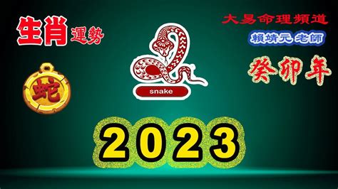 2023生肖蛇|【屬蛇2023生肖運勢】運勢覆向上，或有霧水情緣｜ 